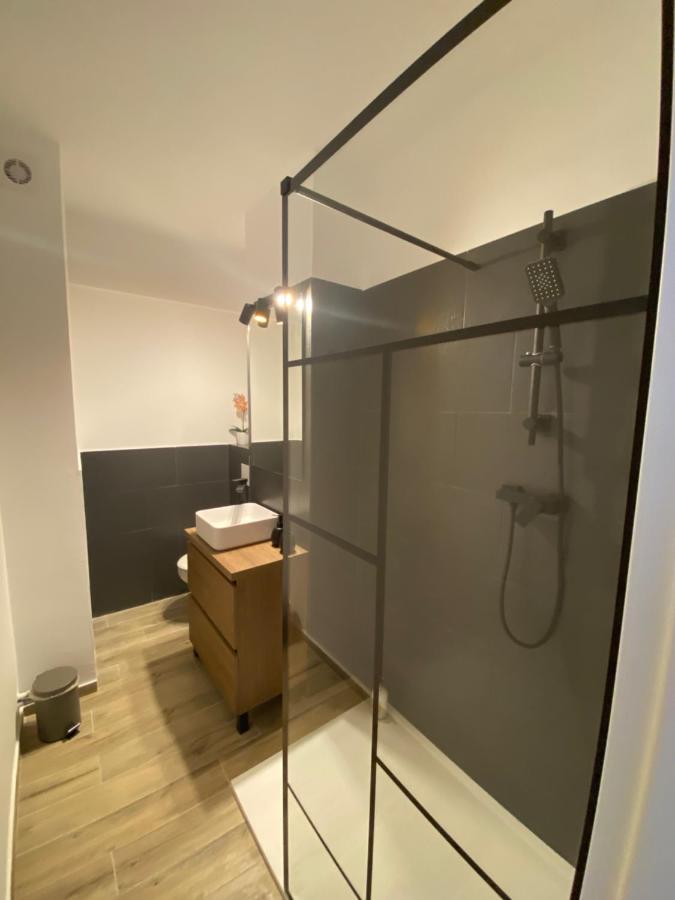 Doinei Cozy Flat Apartment Тимишоара Екстериор снимка