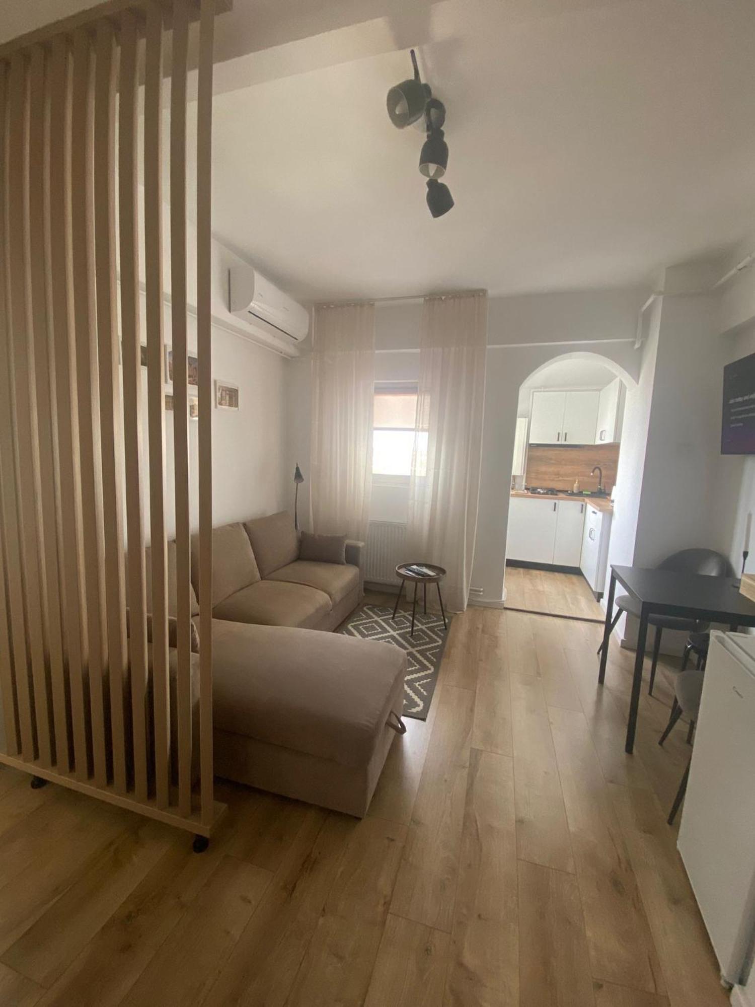 Doinei Cozy Flat Apartment Тимишоара Екстериор снимка