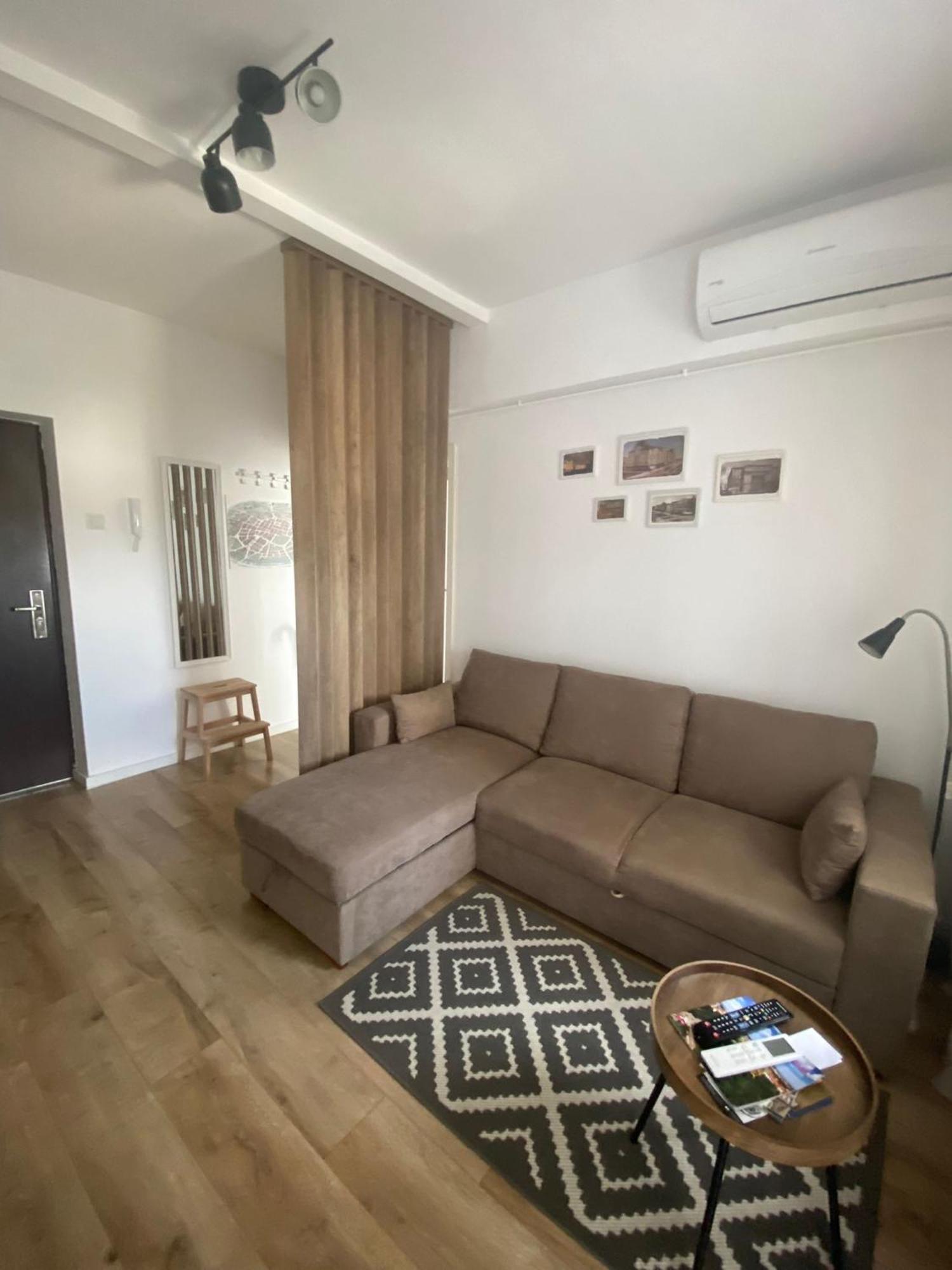 Doinei Cozy Flat Apartment Тимишоара Екстериор снимка